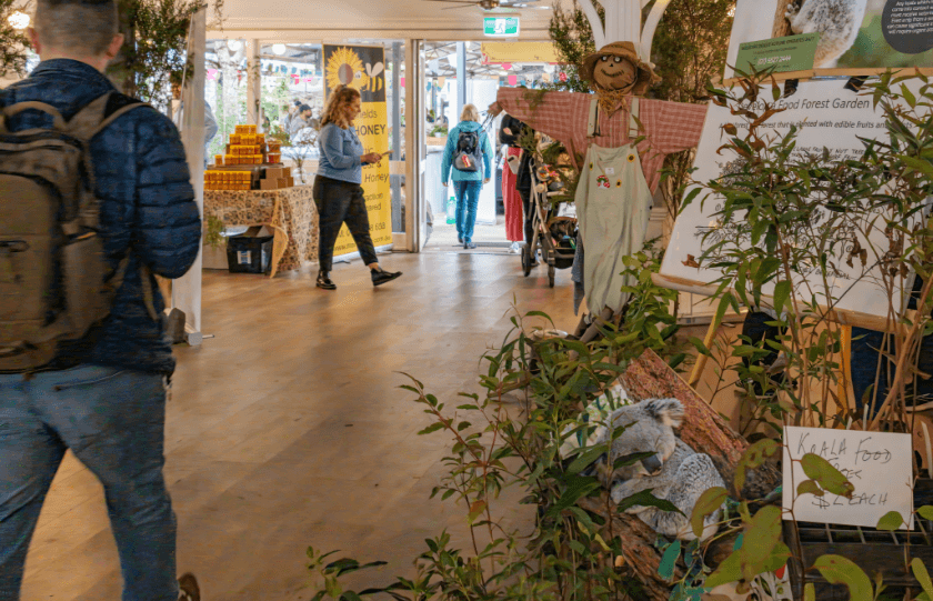 Plants and other goods inside a shop