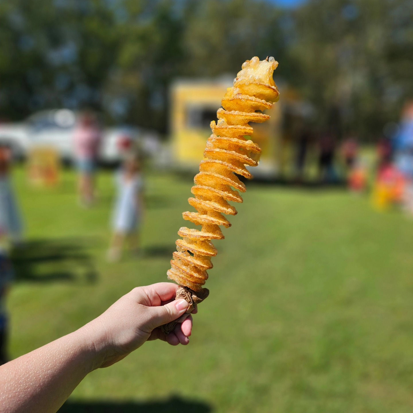 Botanical Bazaar | Gold Coast Garden & Sustainability Festival