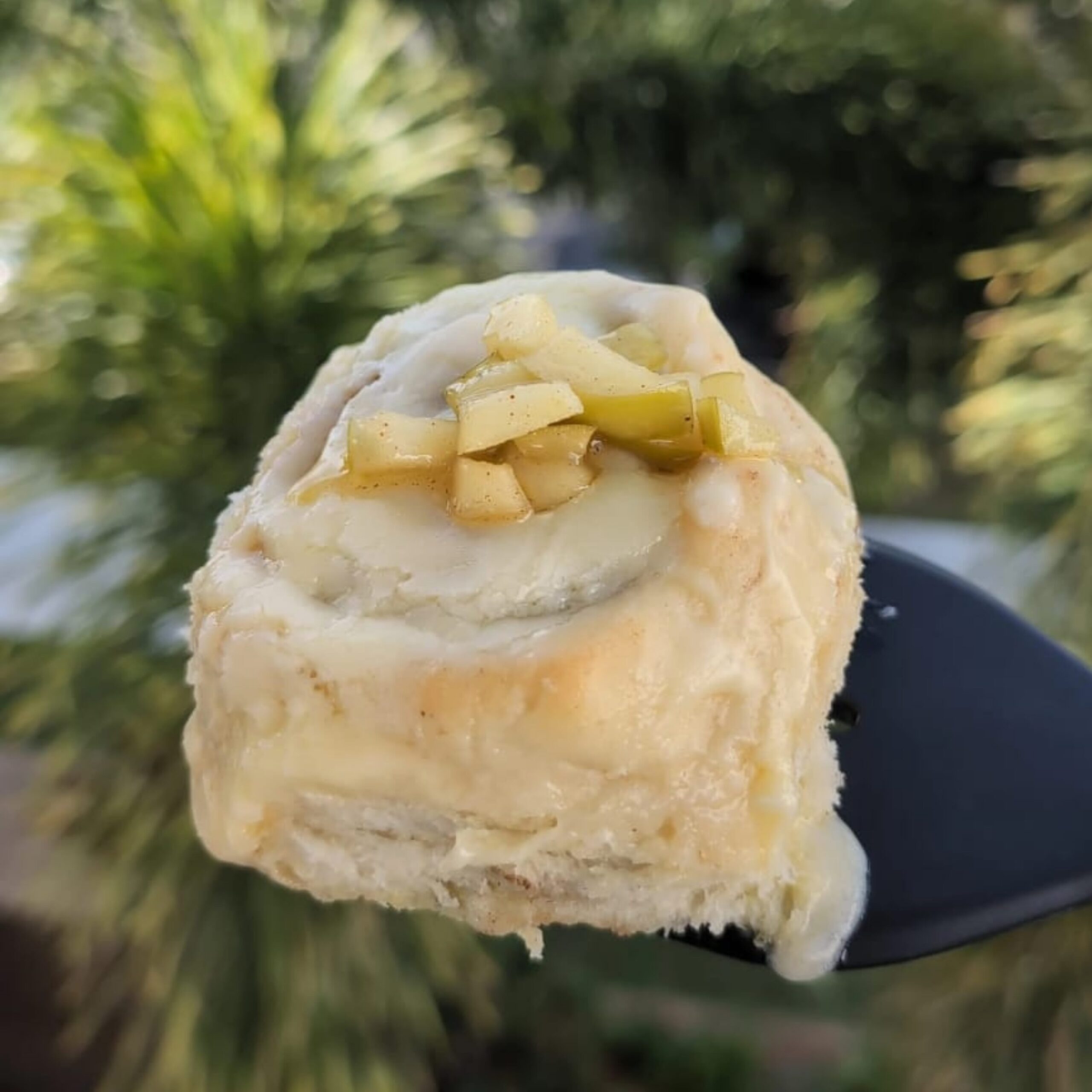 Botanical Bazaar | Gold Coast Garden & Sustainability Festival