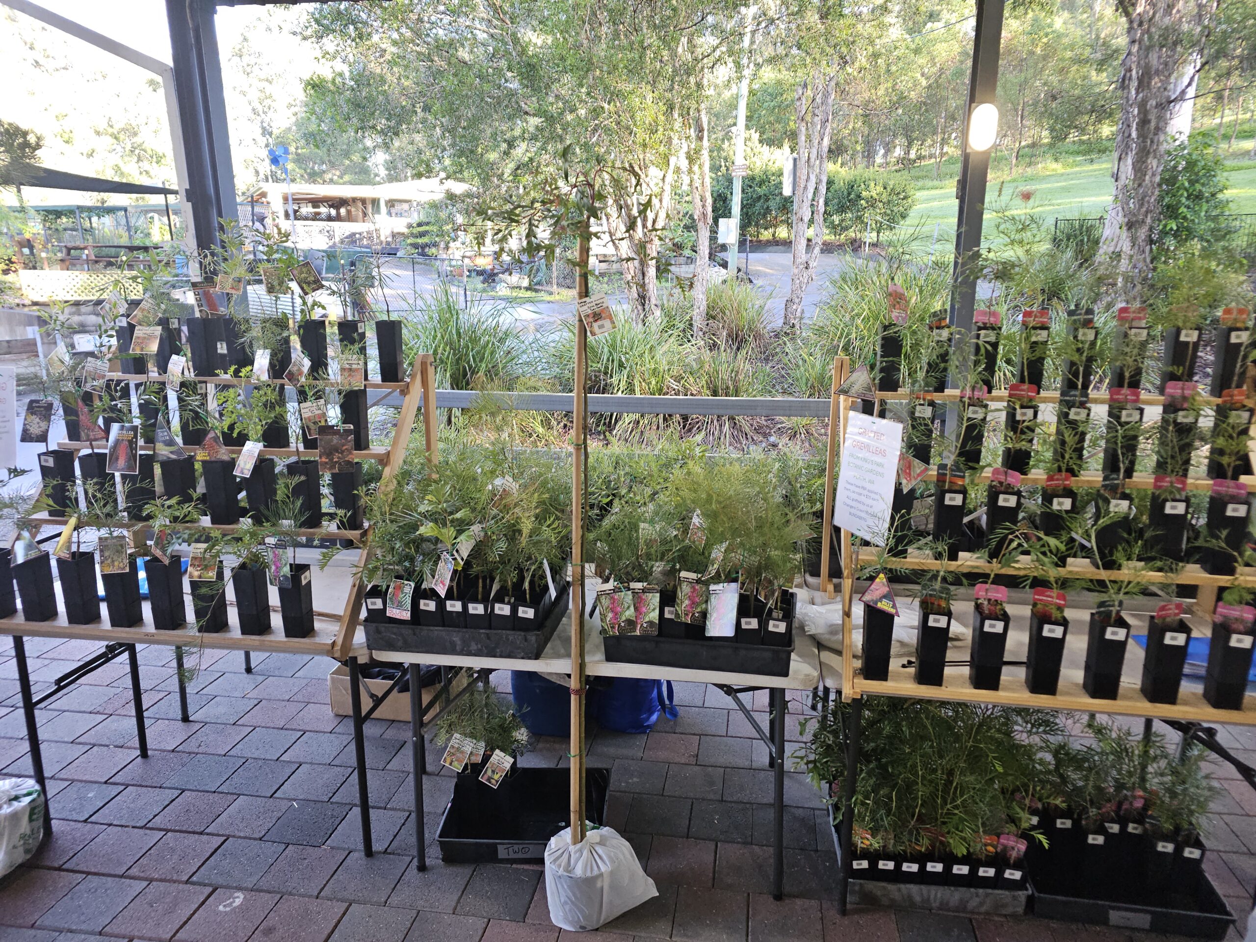 Botanical Bazaar | Gold Coast Garden & Sustainability Festival
