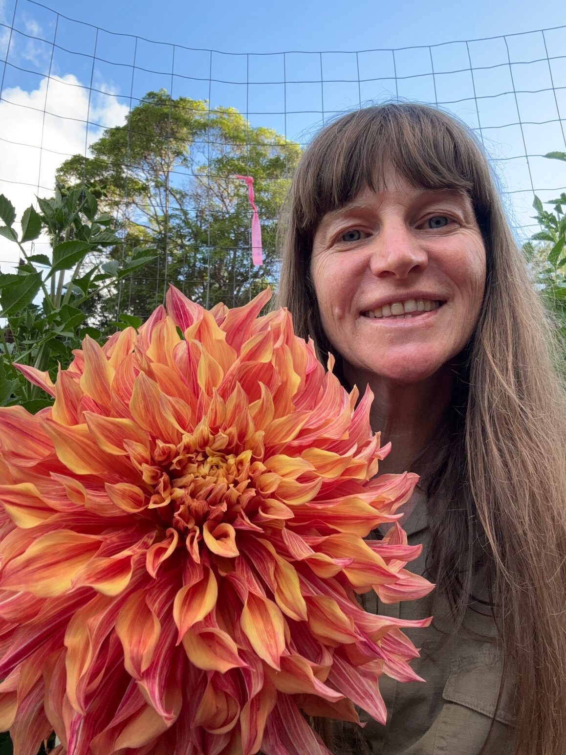 Botanical Bazaar | Gold Coast Garden & Sustainability Festival