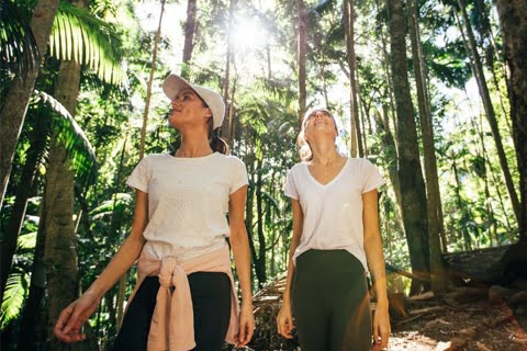 Botanical Bazaar | Gold Coast Garden & Sustainability Festival